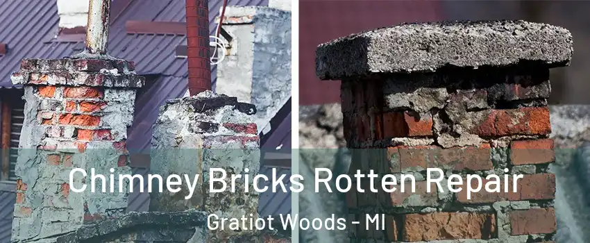 Chimney Bricks Rotten Repair Gratiot Woods - MI