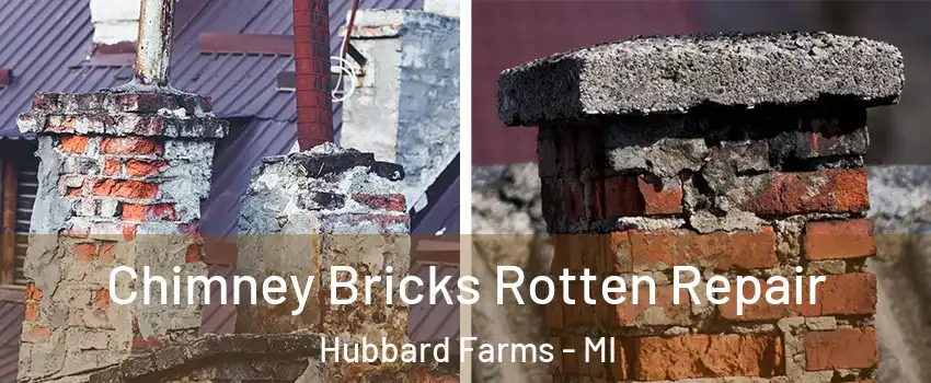 Chimney Bricks Rotten Repair Hubbard Farms - MI