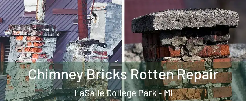 Chimney Bricks Rotten Repair LaSalle College Park - MI