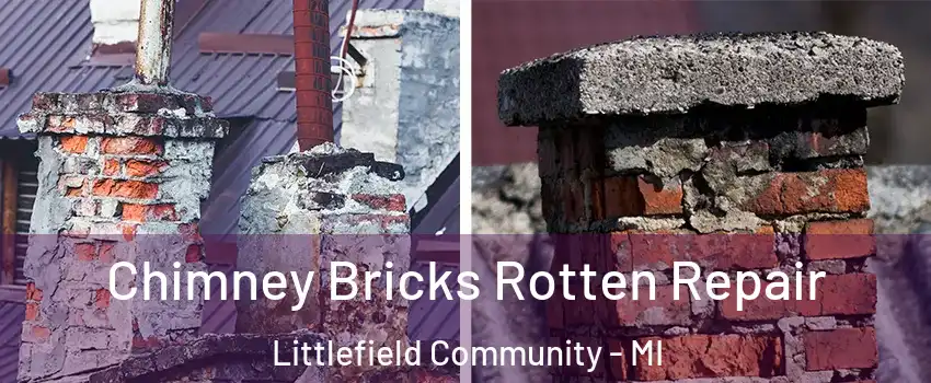 Chimney Bricks Rotten Repair Littlefield Community - MI