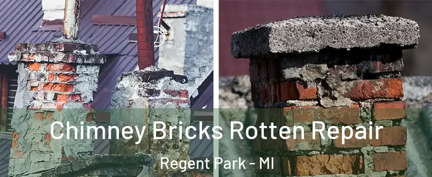 Chimney Bricks Rotten Repair Regent Park - MI