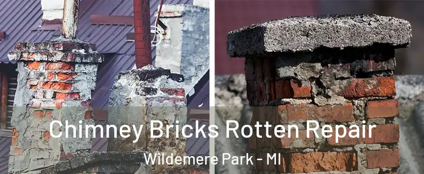 Chimney Bricks Rotten Repair Wildemere Park - MI