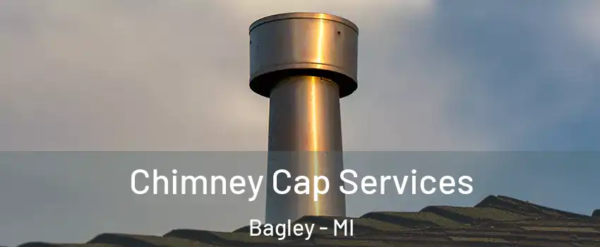 Chimney Cap Services Bagley - MI