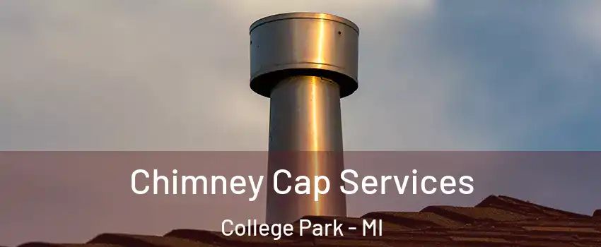 Chimney Cap Services College Park - MI