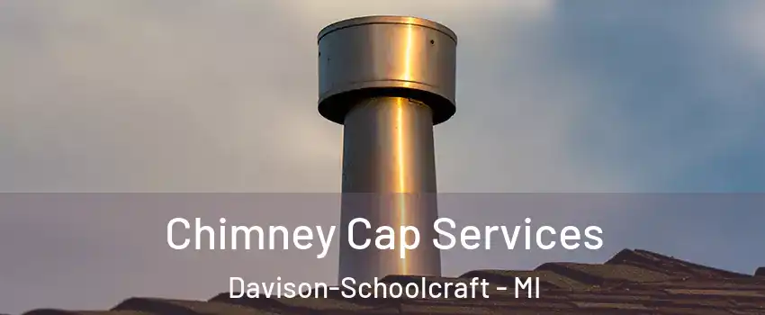 Chimney Cap Services Davison-Schoolcraft - MI