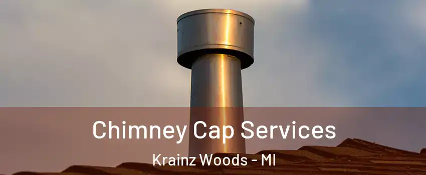 Chimney Cap Services Krainz Woods - MI