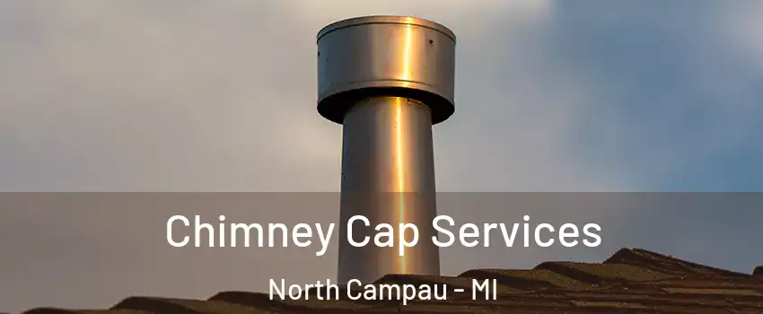 Chimney Cap Services North Campau - MI