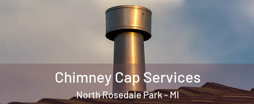 Chimney Cap Services North Rosedale Park - MI