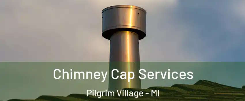 Chimney Cap Services Pilgrim Village - MI