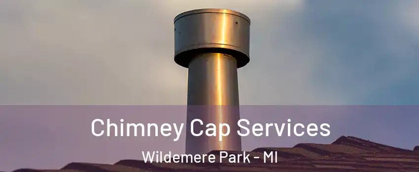 Chimney Cap Services Wildemere Park - MI