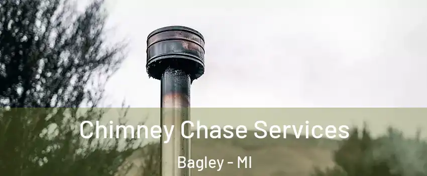 Chimney Chase Services Bagley - MI