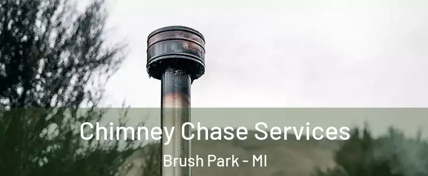 Chimney Chase Services Brush Park - MI