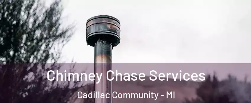 Chimney Chase Services Cadillac Community - MI