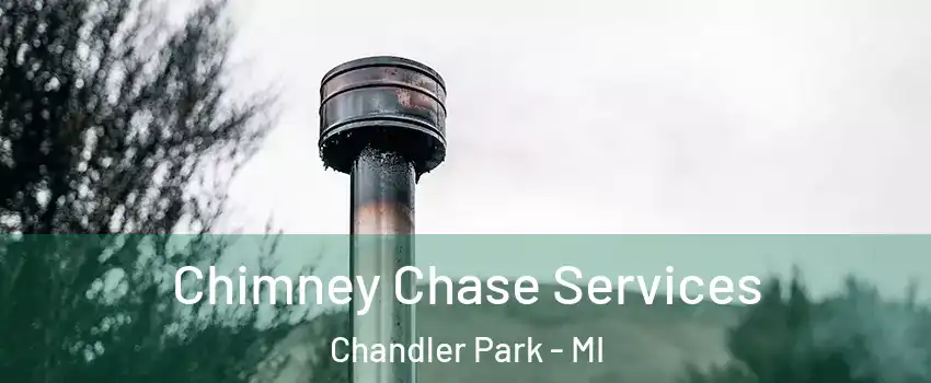 Chimney Chase Services Chandler Park - MI