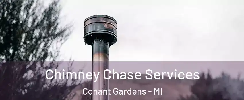 Chimney Chase Services Conant Gardens - MI