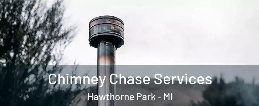 Chimney Chase Services Hawthorne Park - MI