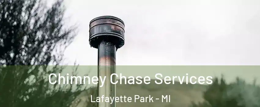 Chimney Chase Services Lafayette Park - MI