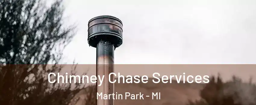 Chimney Chase Services Martin Park - MI