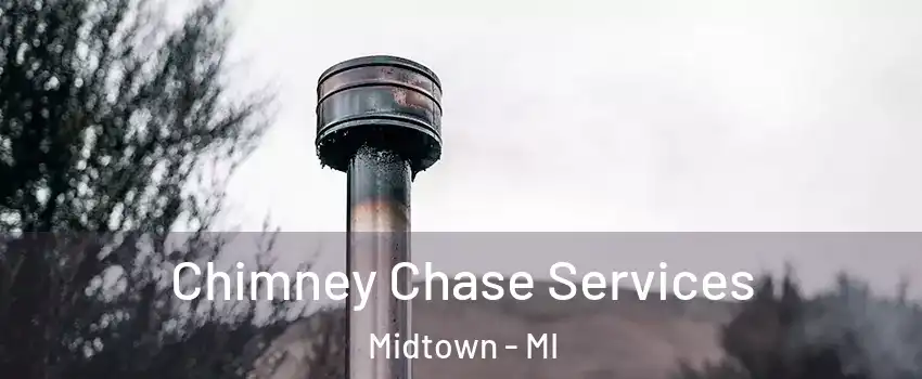 Chimney Chase Services Midtown - MI