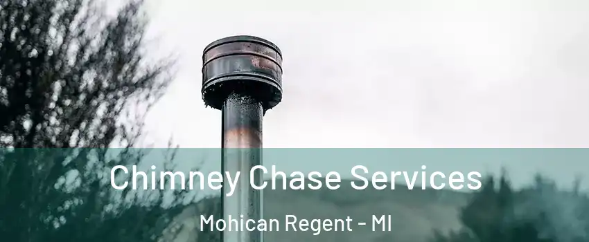 Chimney Chase Services Mohican Regent - MI