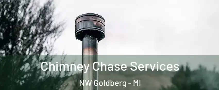 Chimney Chase Services NW Goldberg - MI