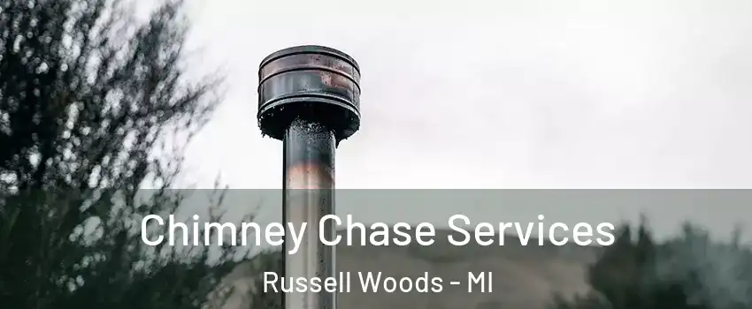 Chimney Chase Services Russell Woods - MI