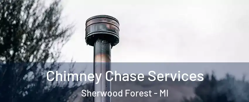 Chimney Chase Services Sherwood Forest - MI