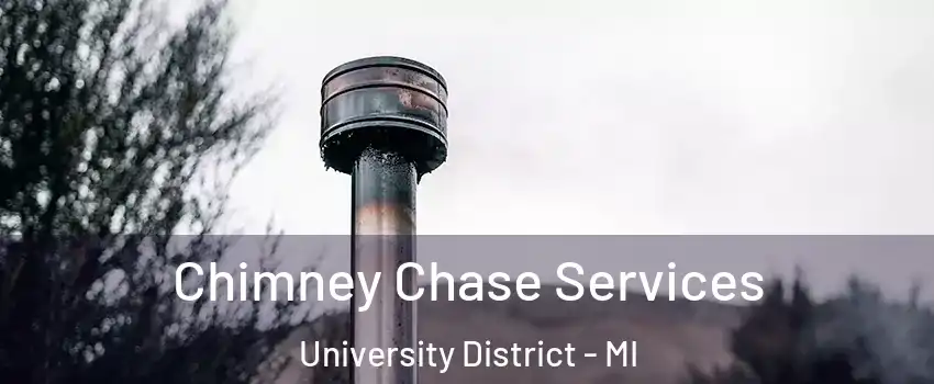 Chimney Chase Services University District - MI