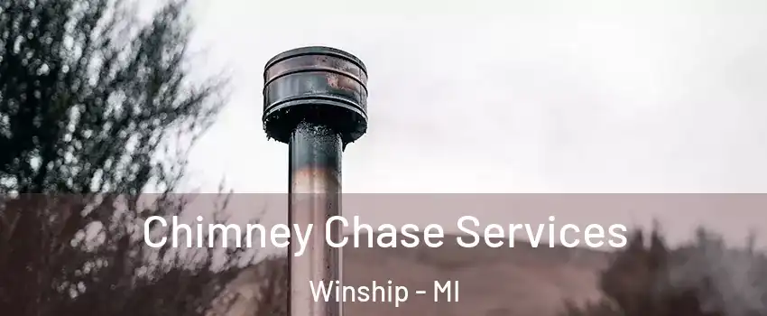 Chimney Chase Services Winship - MI