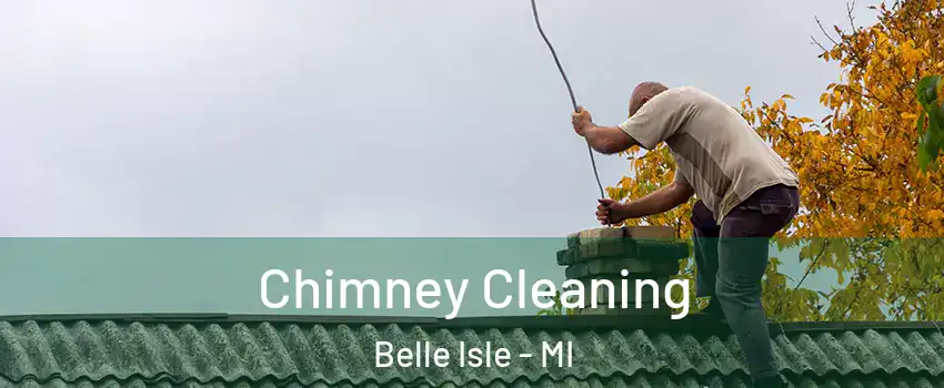 Chimney Cleaning Belle Isle - MI