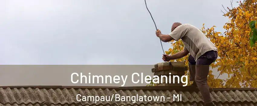 Chimney Cleaning Campau/Banglatown - MI