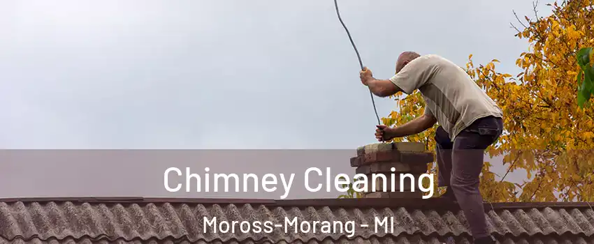 Chimney Cleaning Moross-Morang - MI