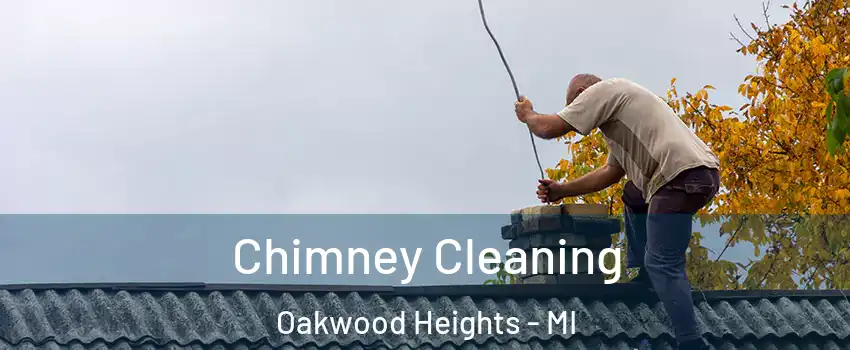 Chimney Cleaning Oakwood Heights - MI