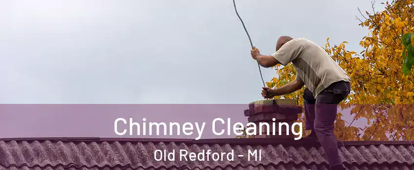 Chimney Cleaning Old Redford - MI