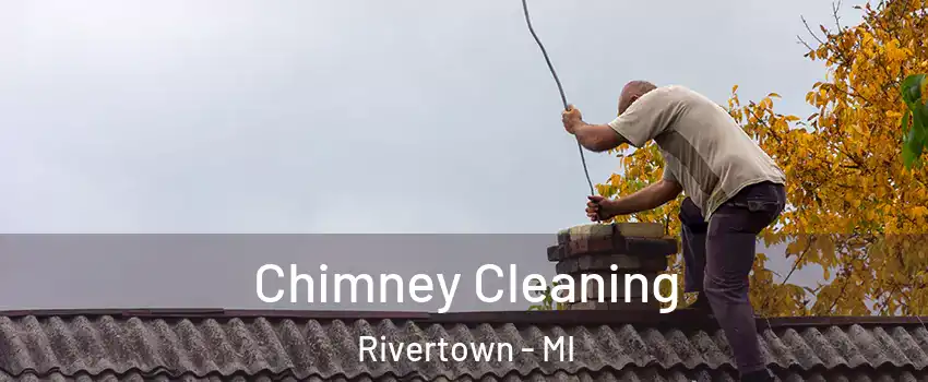 Chimney Cleaning Rivertown - MI