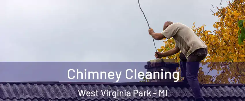 Chimney Cleaning West Virginia Park - MI