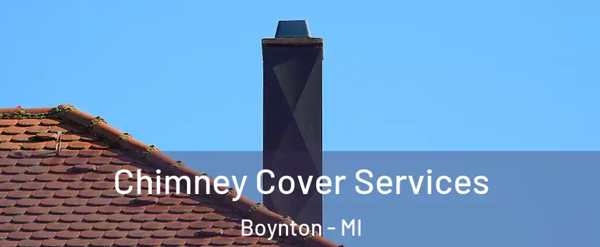 Chimney Cover Services Boynton - MI