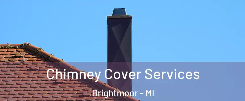 Chimney Cover Services Brightmoor - MI