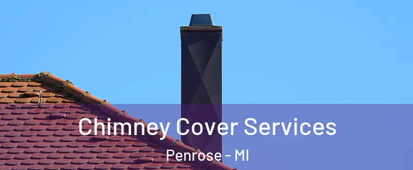 Chimney Cover Services Penrose - MI