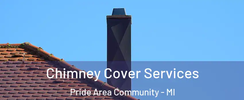 Chimney Cover Services Pride Area Community - MI