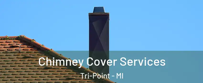 Chimney Cover Services Tri-Point - MI