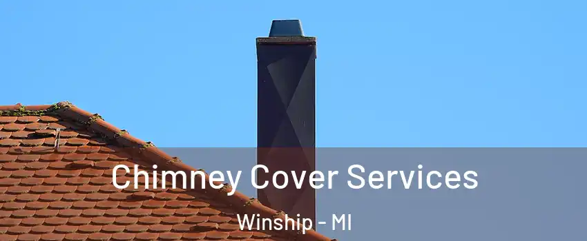 Chimney Cover Services Winship - MI