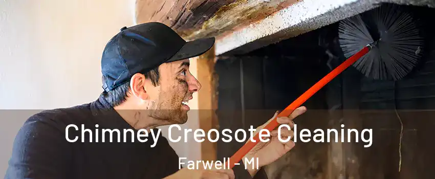 Chimney Creosote Cleaning Farwell - MI