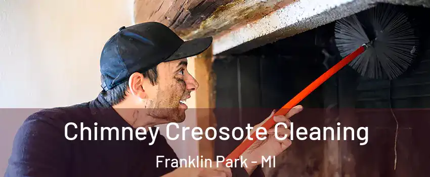 Chimney Creosote Cleaning Franklin Park - MI