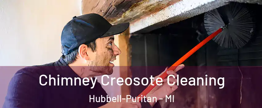 Chimney Creosote Cleaning Hubbell-Puritan - MI