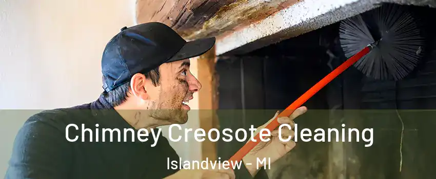 Chimney Creosote Cleaning Islandview - MI