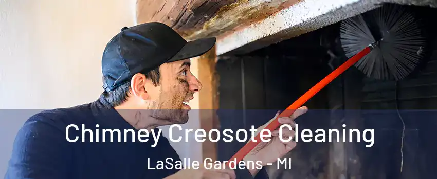 Chimney Creosote Cleaning LaSalle Gardens - MI