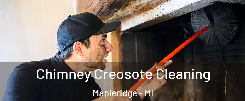 Chimney Creosote Cleaning Mapleridge - MI