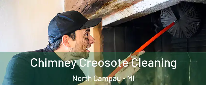 Chimney Creosote Cleaning North Campau - MI