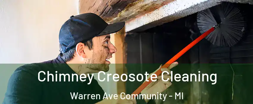 Chimney Creosote Cleaning Warren Ave Community - MI